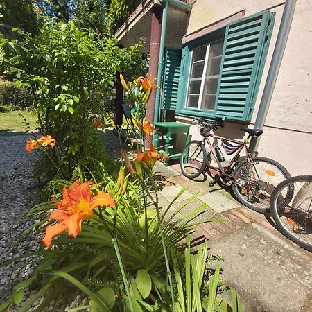 Garden Budha Relax Apartman, Parking, Bbq, Terrace Siófok Exterior foto