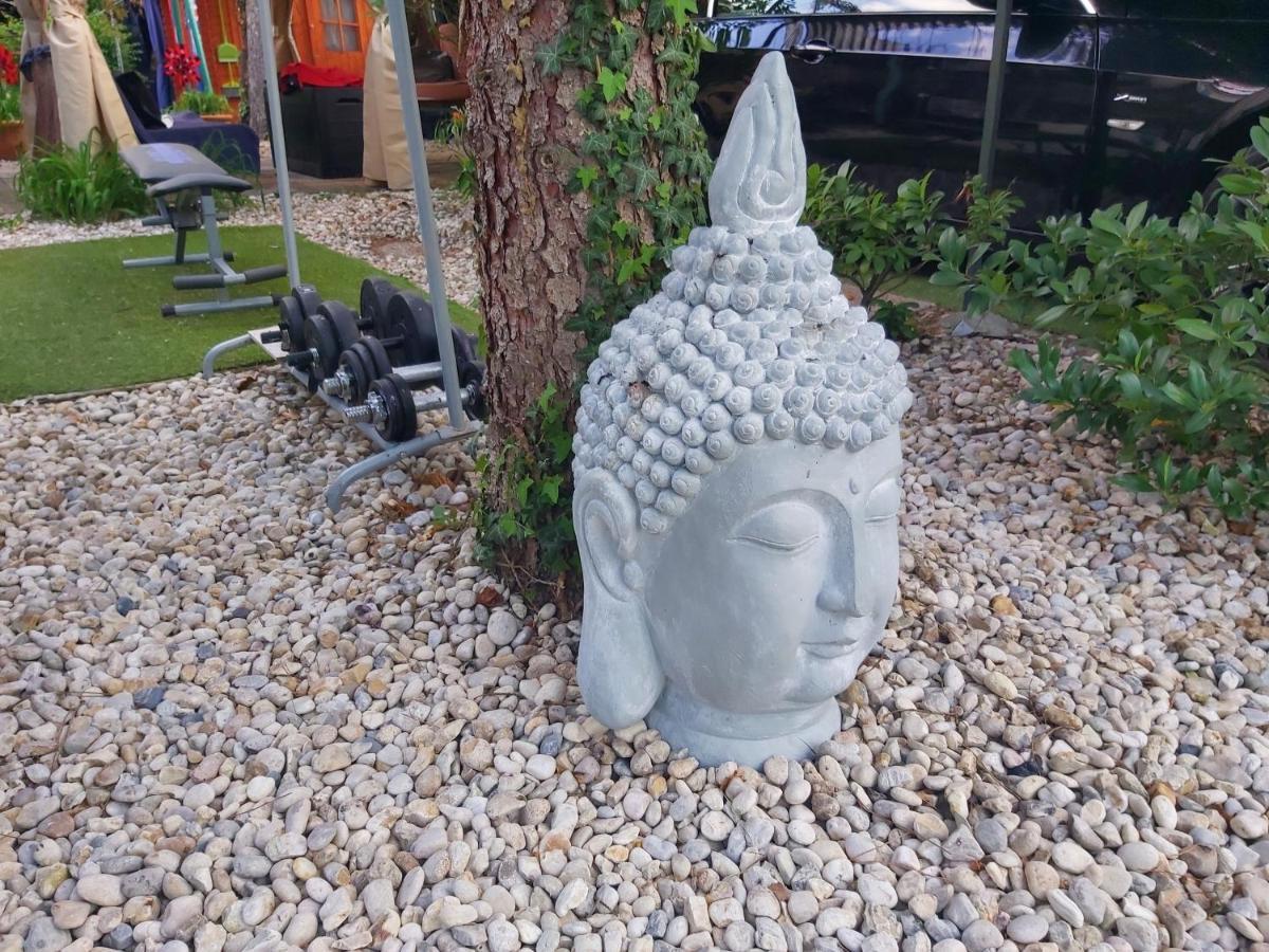 Garden Budha Relax Apartman, Parking, Bbq, Terrace Siófok Exterior foto