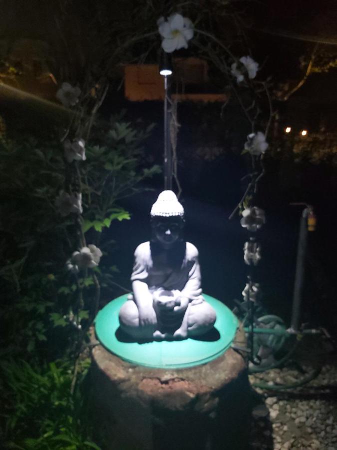 Garden Budha Relax Apartman, Parking, Bbq, Terrace Siófok Exterior foto