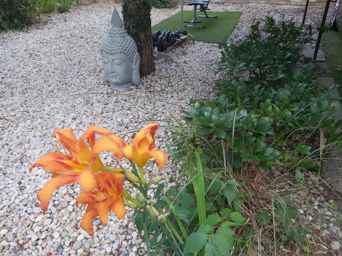 Garden Budha Relax Apartman, Parking, Bbq, Terrace Siófok Exterior foto