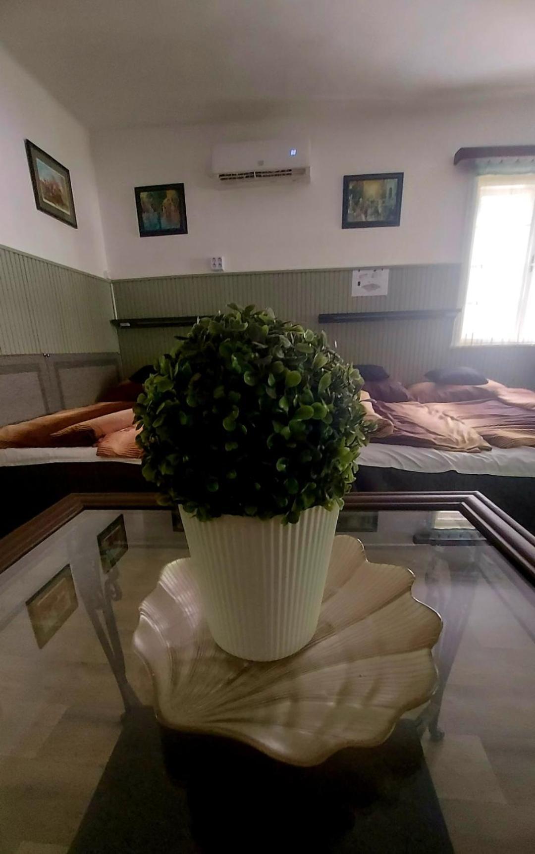 Garden Budha Relax Apartman, Parking, Bbq, Terrace Siófok Exterior foto